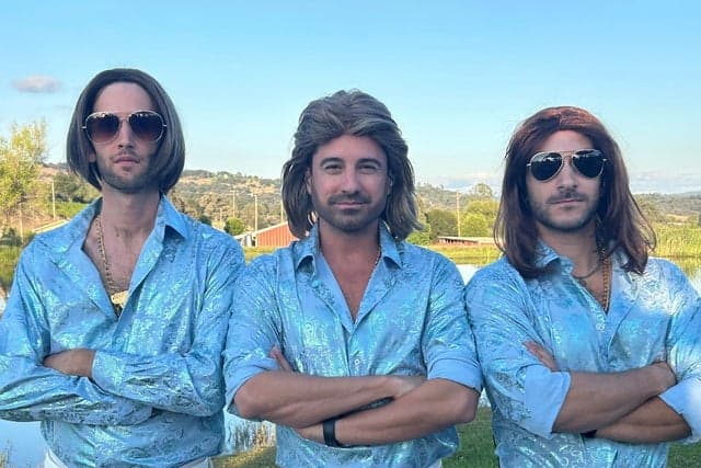 Bee Gees Fever