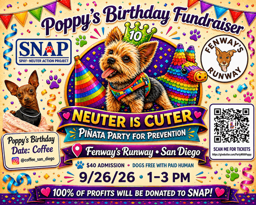 Poppy’s Party for Prevention - Spay Neuter Action Project (SNAP)